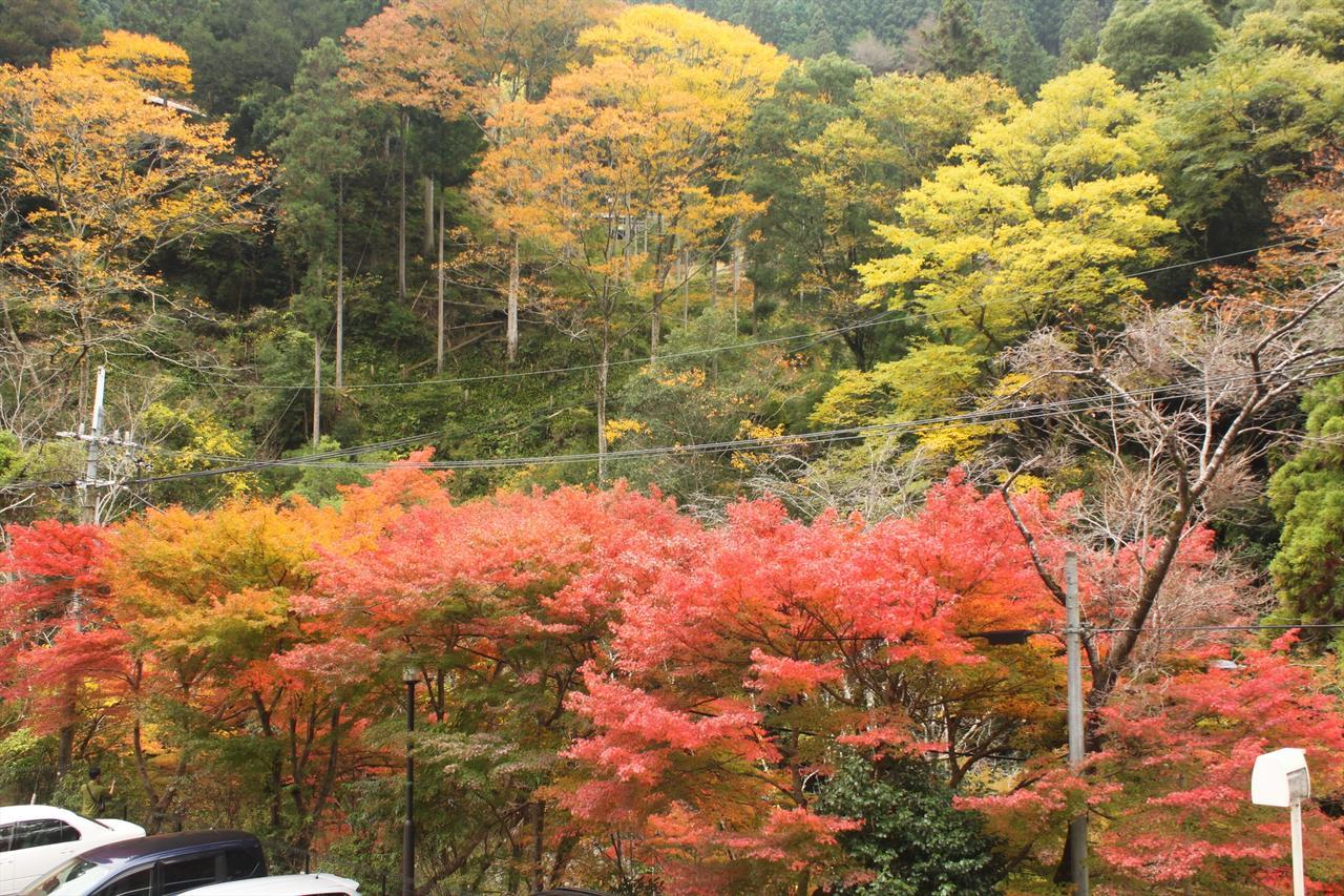 Yadori Onsen Iyashinoyu Hashimoto (Wakayama) Exterior foto